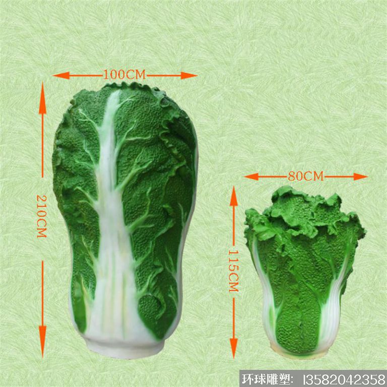 白菜 白菜